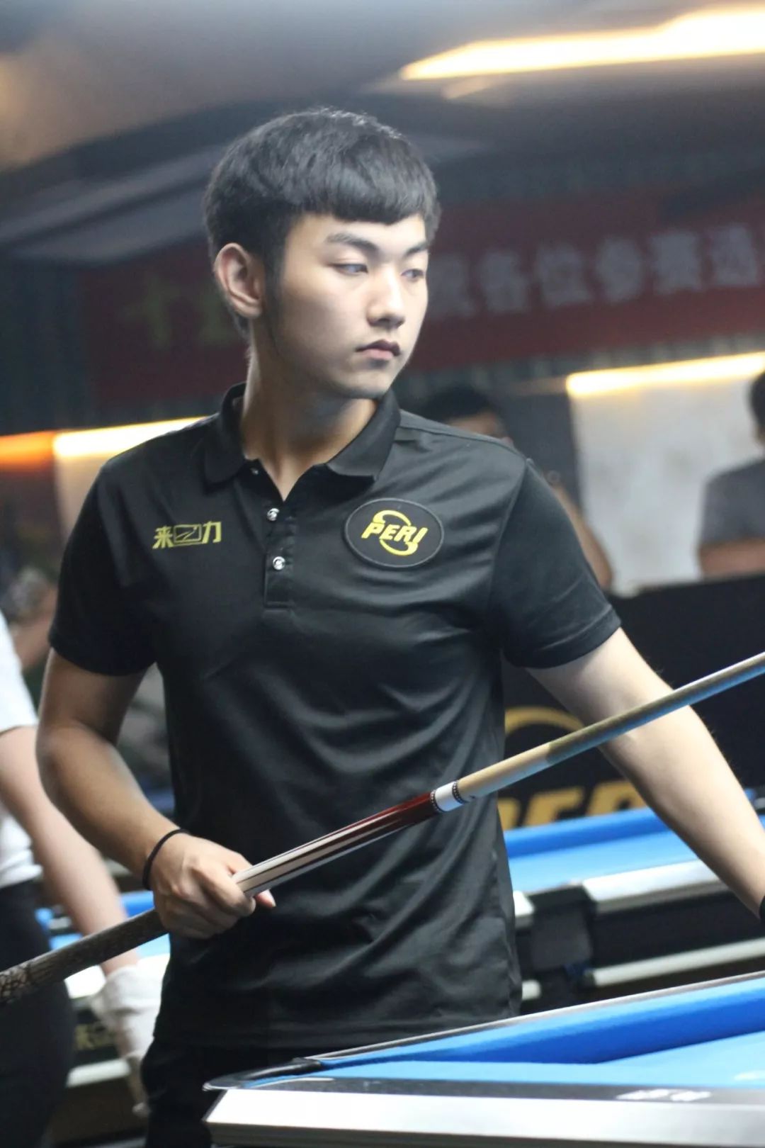 这不仅说明 这不仅说明