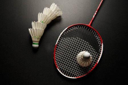 滑令比赛节 滑令比赛节